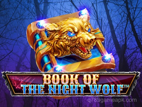 Book Of The Night Wolf